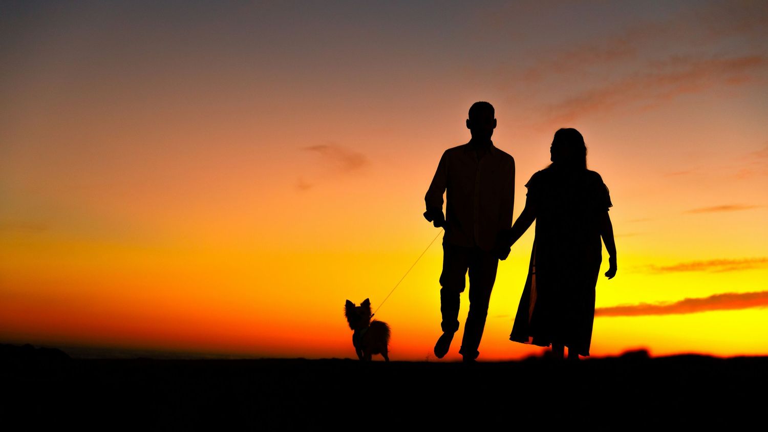 Silhouettes of two figures and a small dog walking together against a vibrant orange and yellow sunset sky.