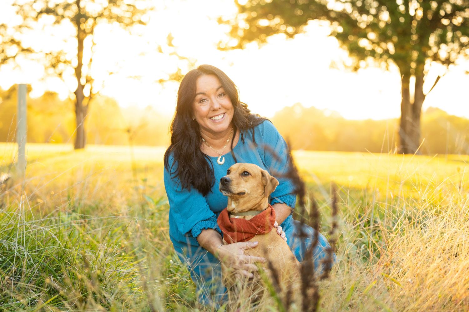A golden retriever dog plays in a sunlit field with someone wearing blue during a warm sunset.