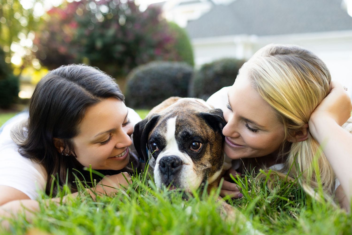 Two people lying in green grass outdoors while snuggling with a black and white border collie dog.