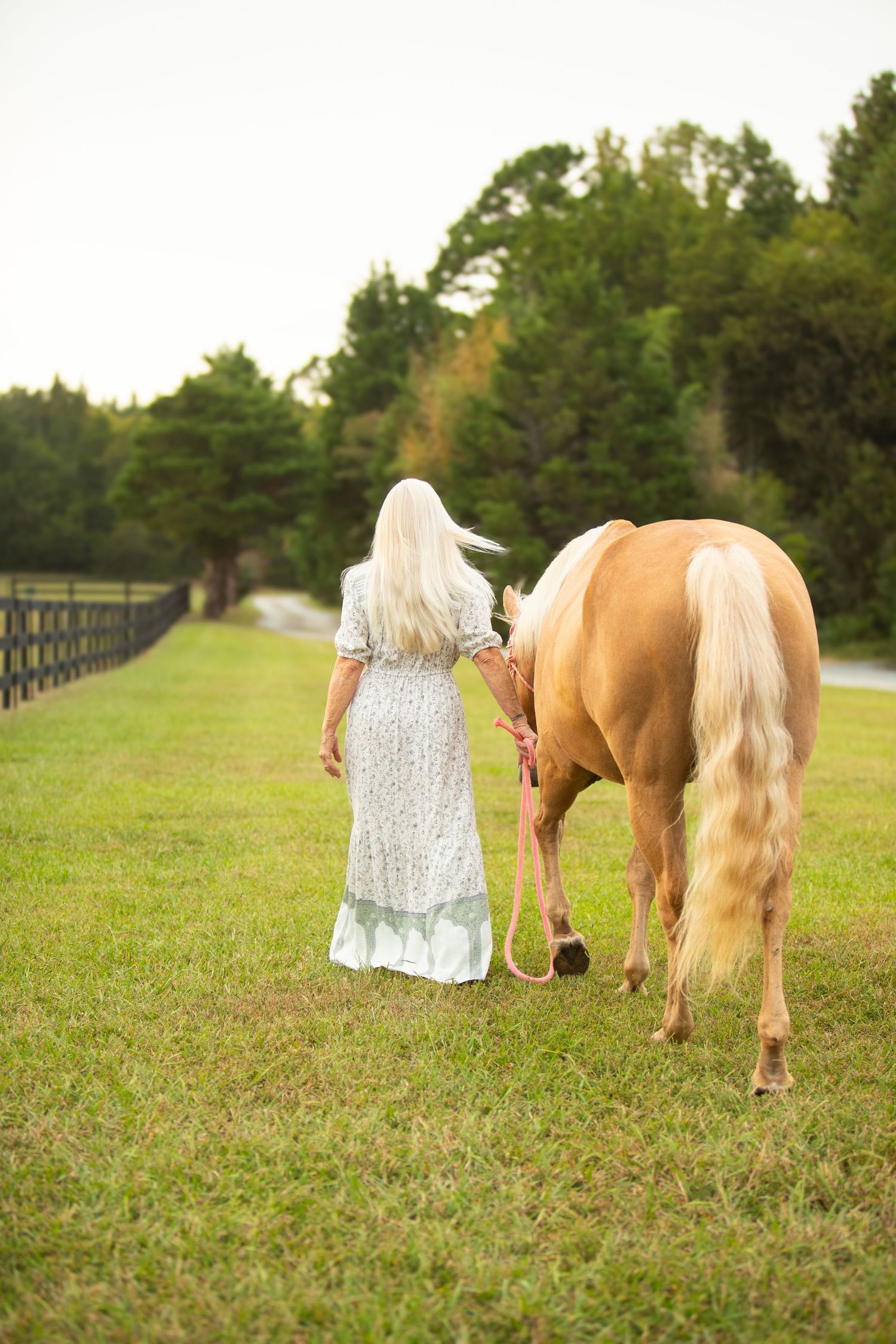 A person in a white dress walks alongside a palomino horse on a grassy path bordered by wooden fencing.