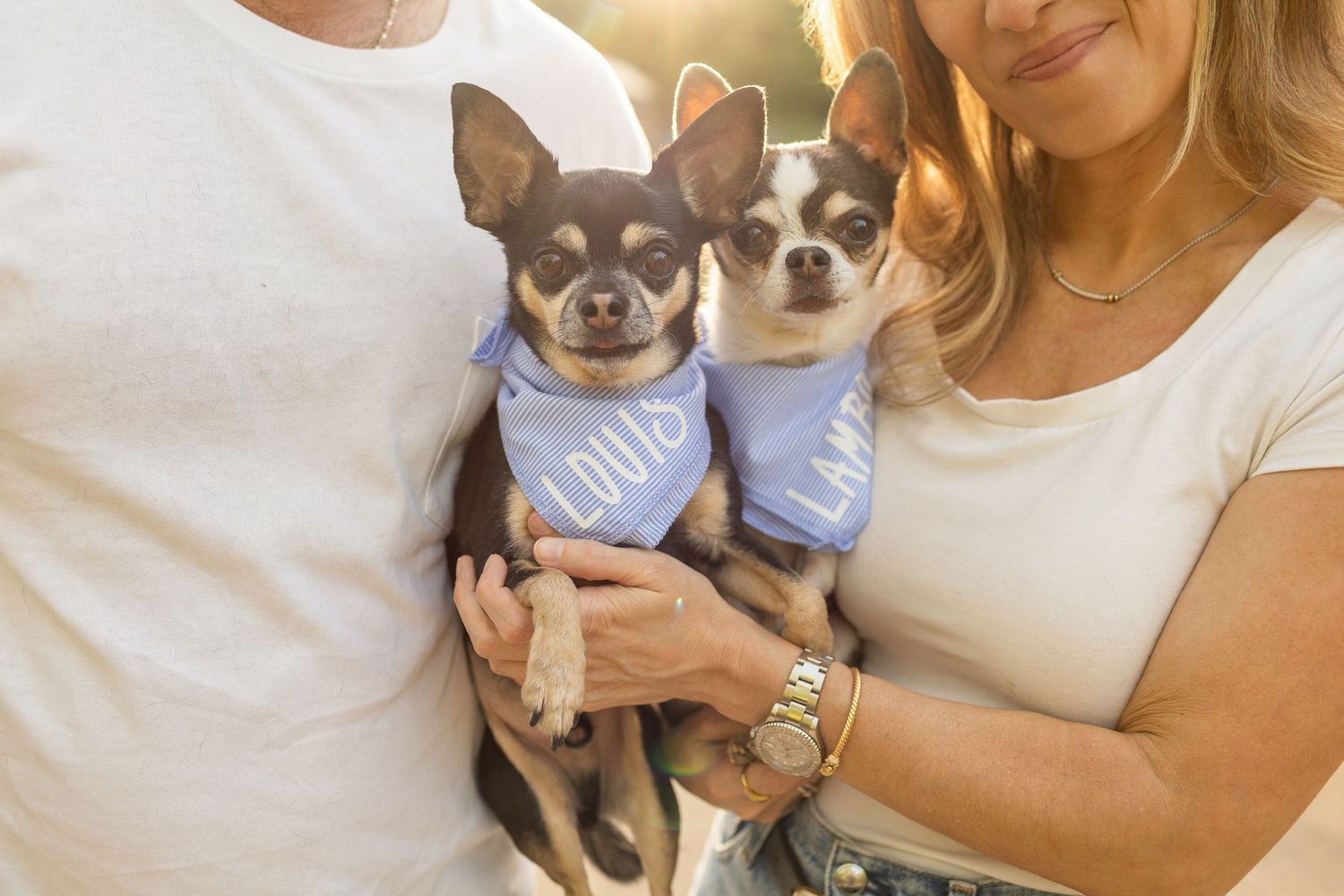 Couple holding two Chihuahuas wearing blue personalized bandanas named Louis and another in warm sunlight.