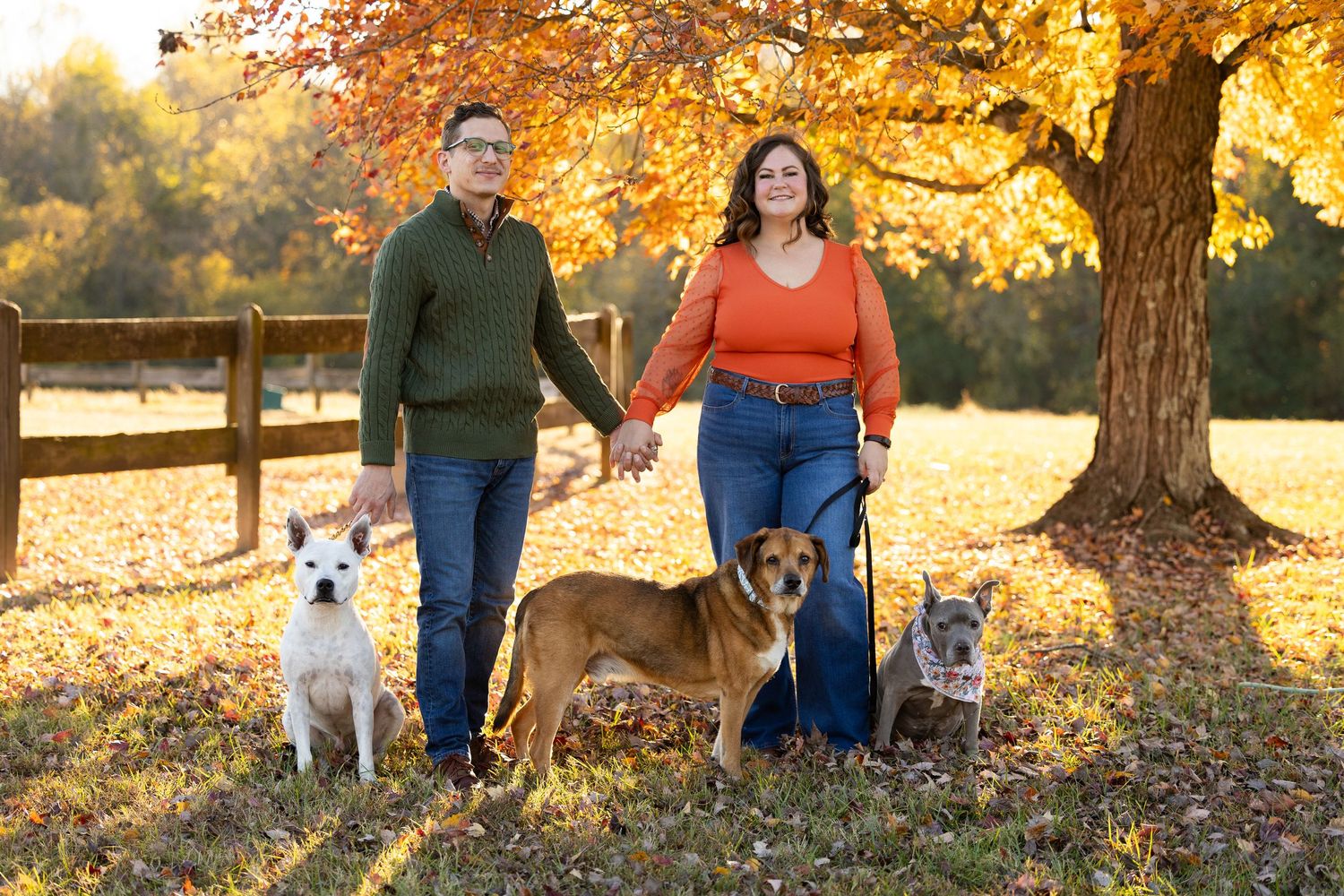 Couple walking with their dog through vibrant autumn foliage in a park at golden hour.