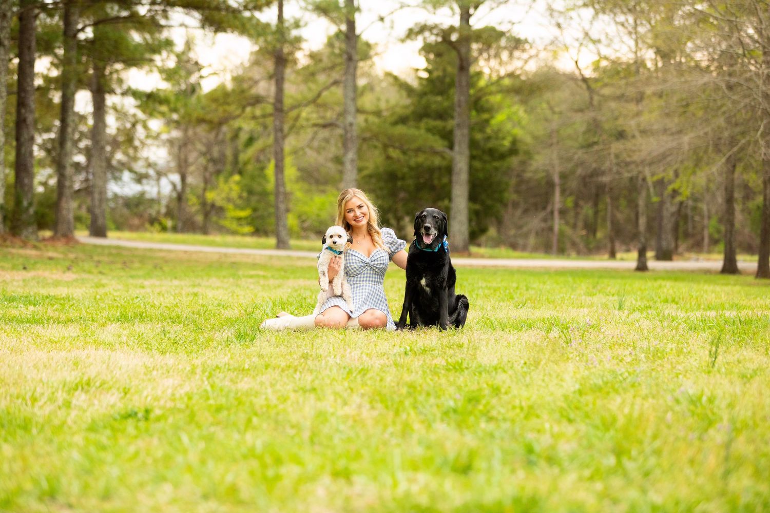 A relaxing scene in a sunlit park with someone sitting in the grass alongside two dogs on a warm day.