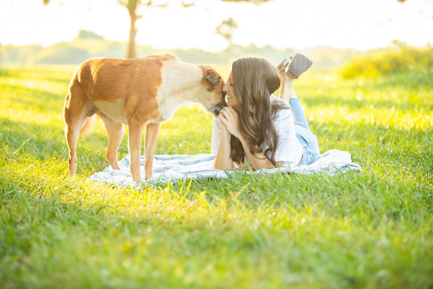 A brown and white dog stands in a sunlit meadow with yellow wildflowers while someone relaxes on a blanket.