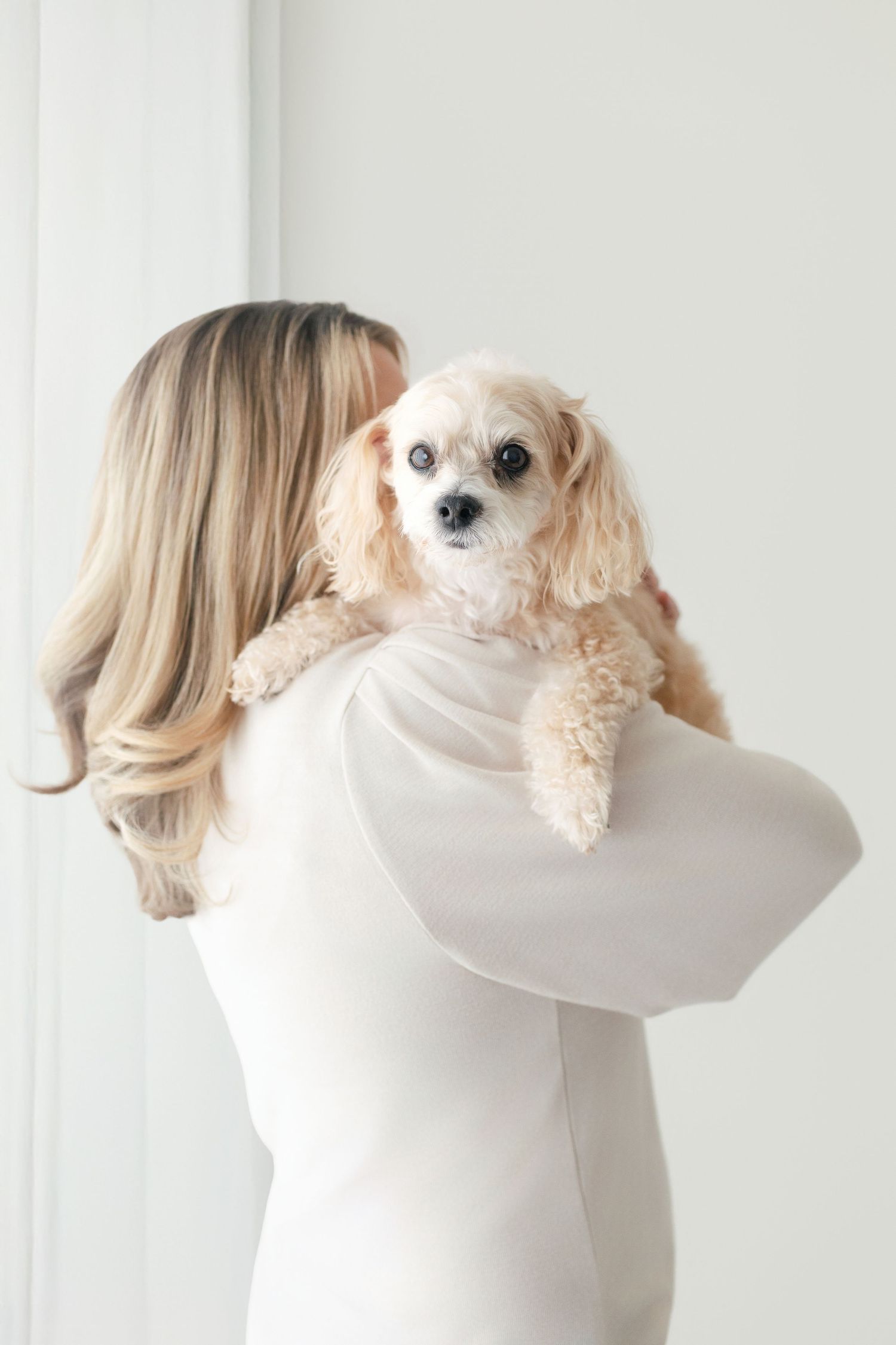 Blonde woman in white dress holding an adorable fluffy Cavapoo dog over her shoulder against white background.
