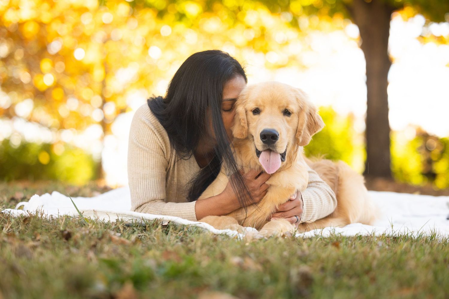Golden retriever puppy lying in autumn leaves with warm sunlit bokeh background during outdoor photo session.