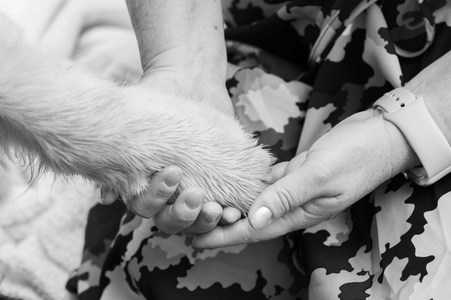 A close-up black and white photo showing a dog's paw gently touching a human hand resting on patterned fabric.