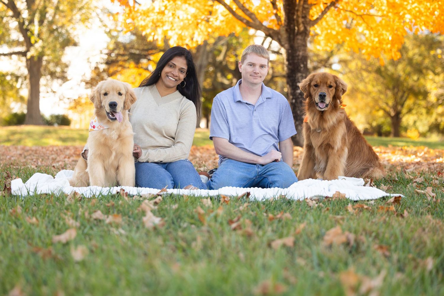 A couple sits on a blanket with their two golden retriever dogs during a sunny autumn day in the park.