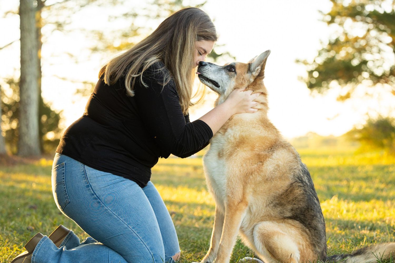 A German Shepherd dog and person play together in a grassy field during golden hour sunset.