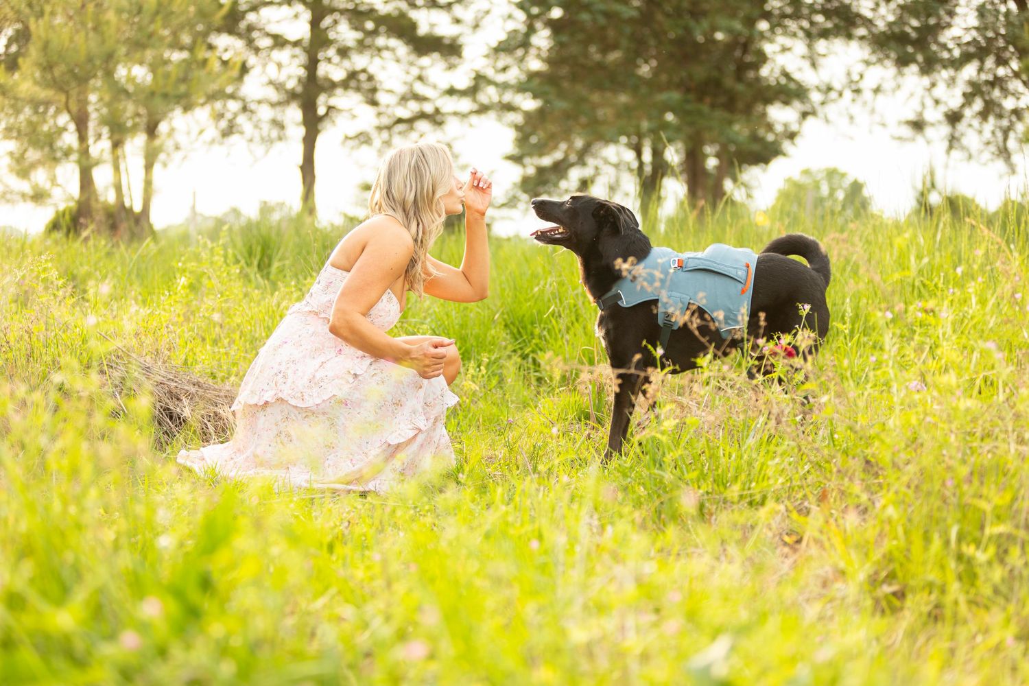 A person in a white dress kneels in a sunny meadow with a black dog among tall wildflowers.