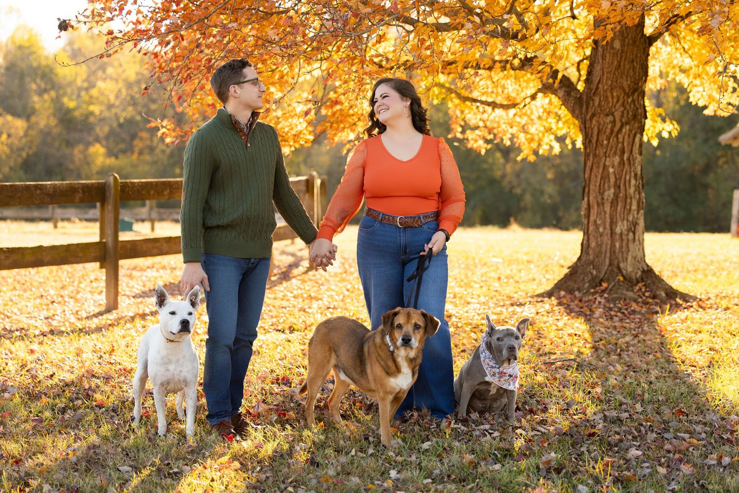A couple walks their three dogs on an autumn day with golden leaves falling from trees in a park setting.