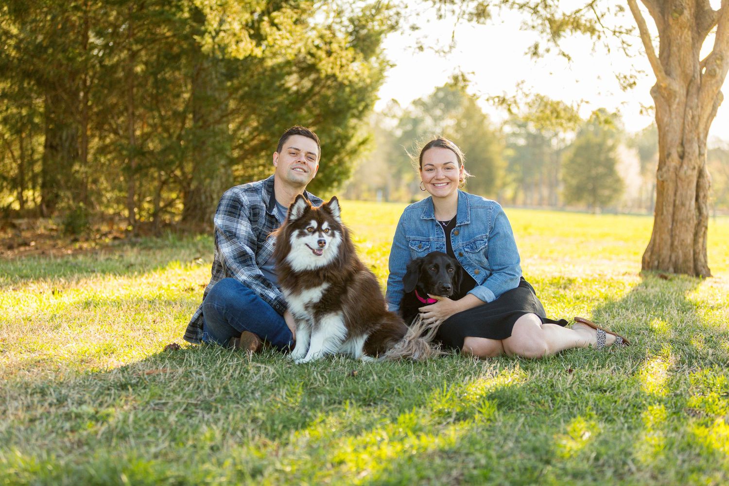 Two people sit on grass with their husky dog in a sunny outdoor setting during golden hour.