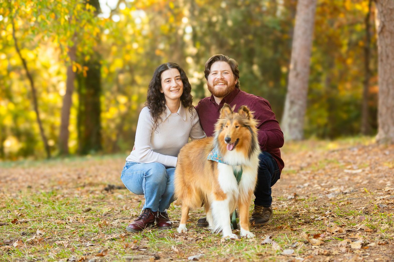 A family and their sheltie shetland sheepdog relaxing on autumn leaves in a park during golden hour.