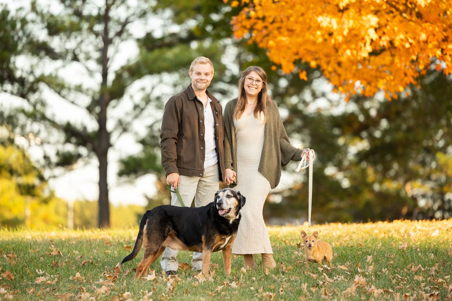 A couple stands outdoors with their dogs against vibrant fall foliage on a sunny autumn day.