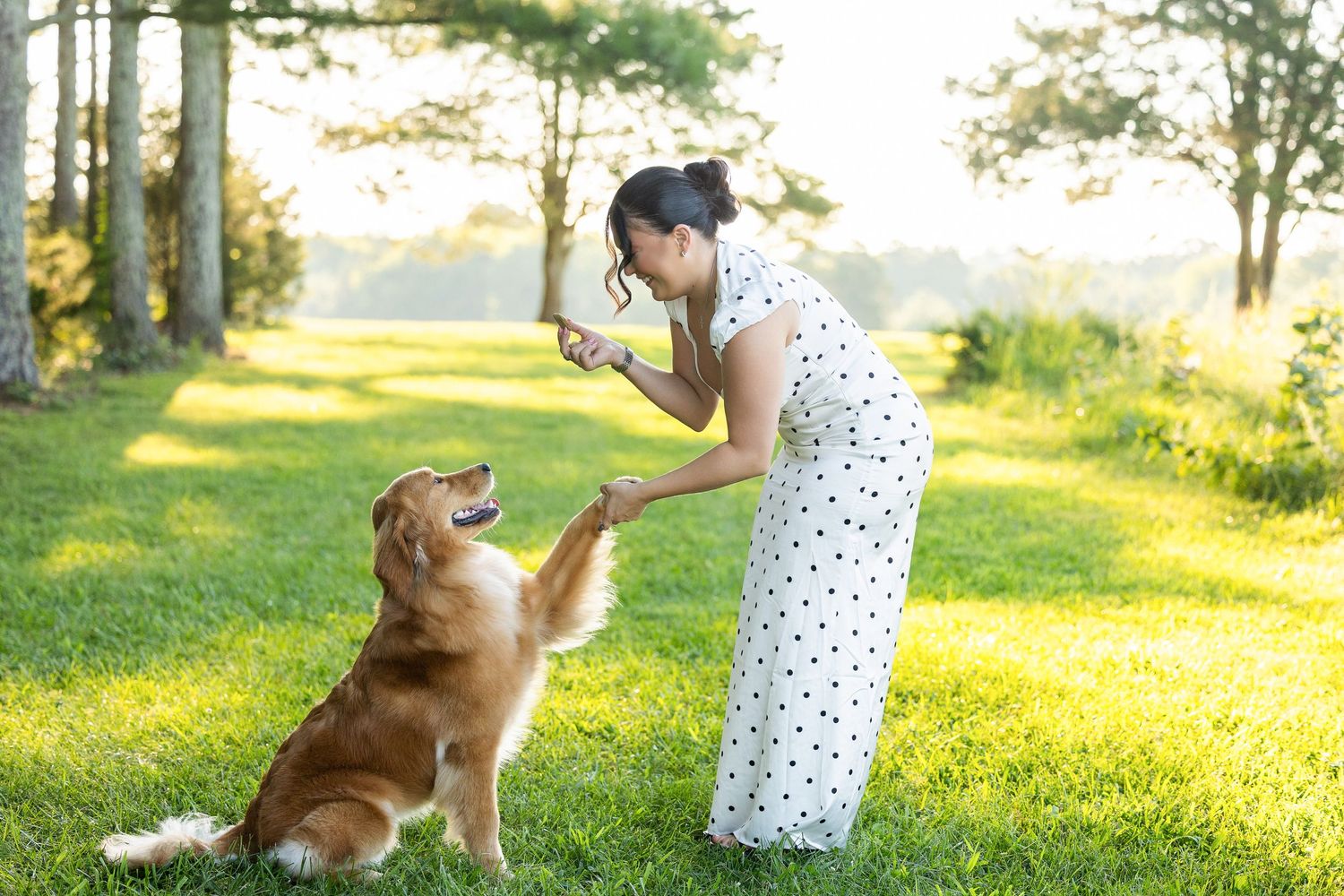 Woman in polka dot dress shaking paws with a golden retriever on green grass in a sunny park.