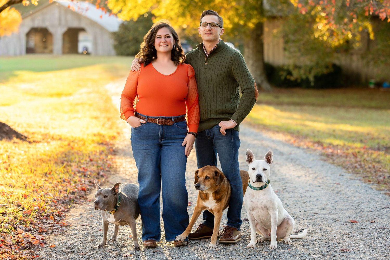 A couple walks their three dogs on a gravel path surrounded by autumn trees with golden leaves.