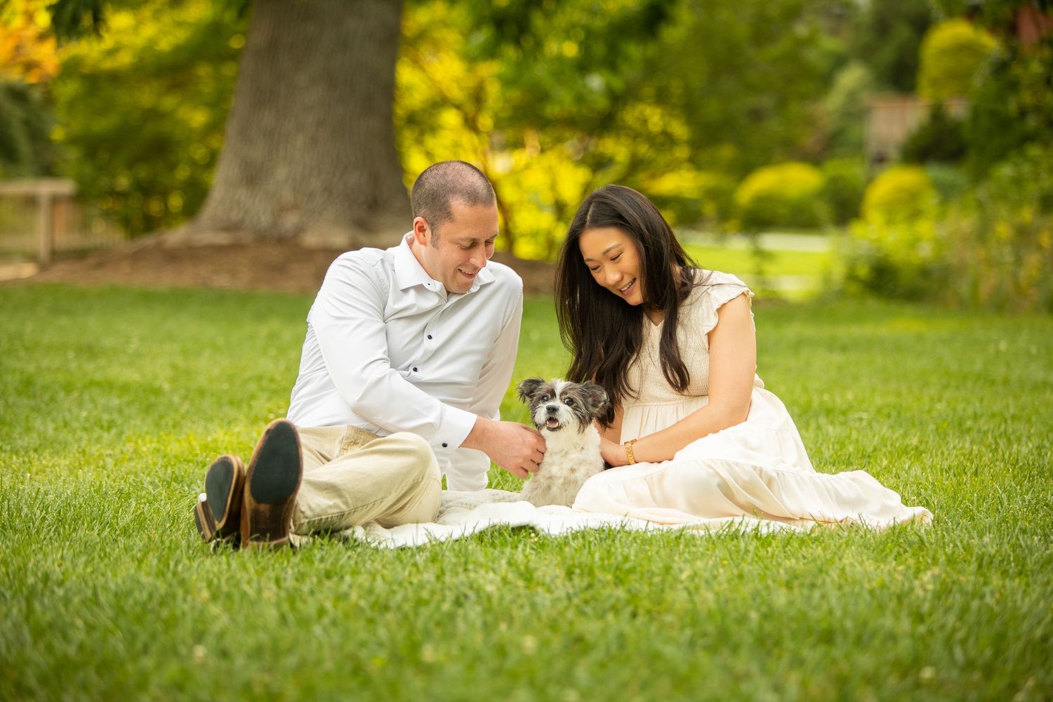 A couple sits on lush grass with their small dog in a sunny park setting with trees in the background.