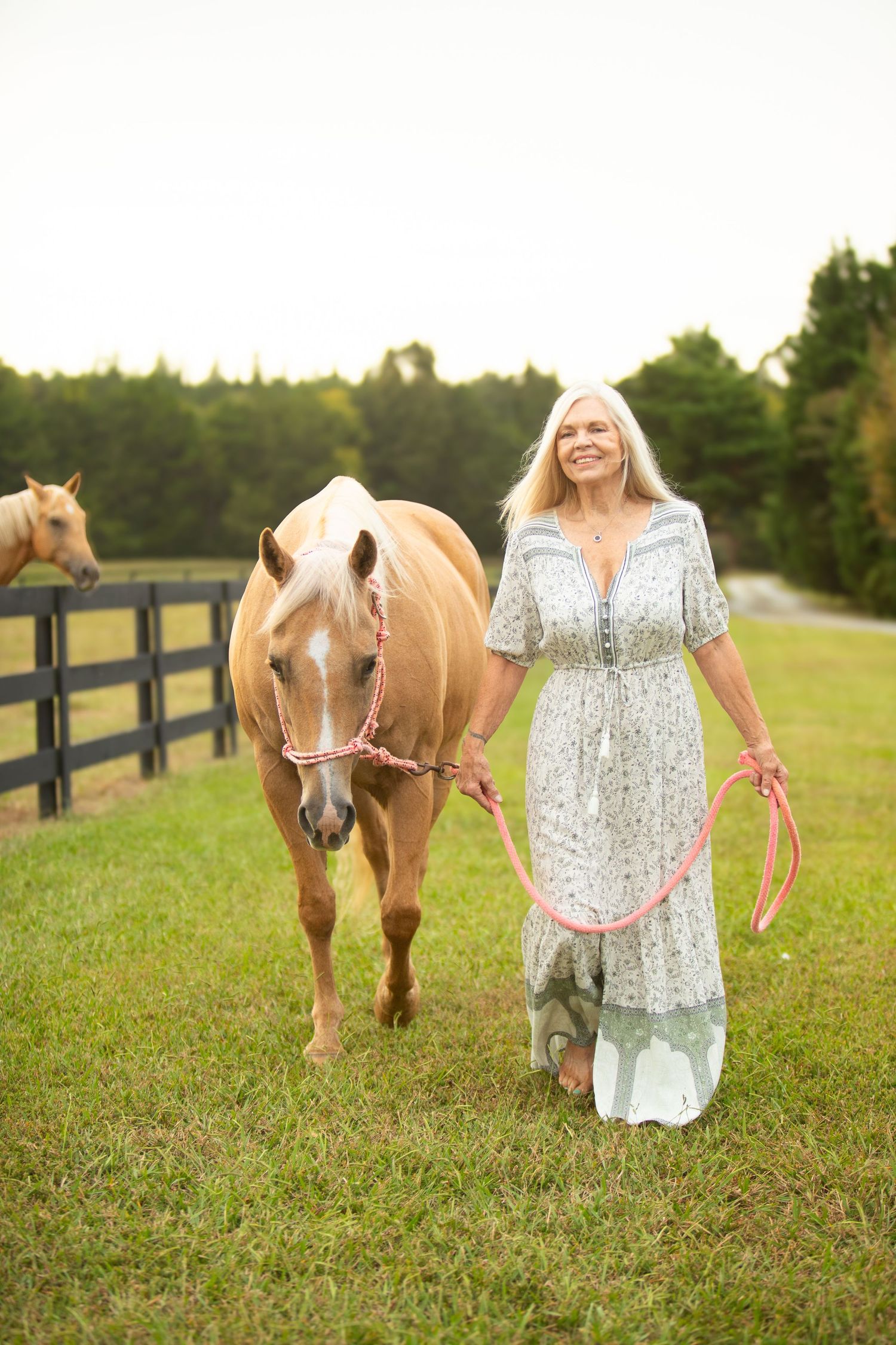 A beautiful palomino horse walks alongside someone in a flowy floral dress on a green pasture with wooden fencing.