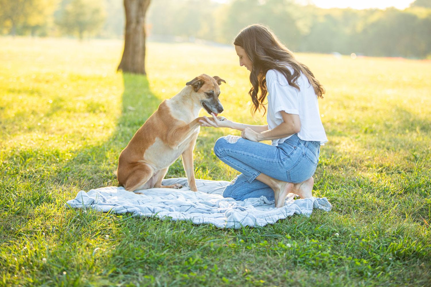 A group of friends relaxes on a white blanket for a picnic in a sunny meadow at golden hour.