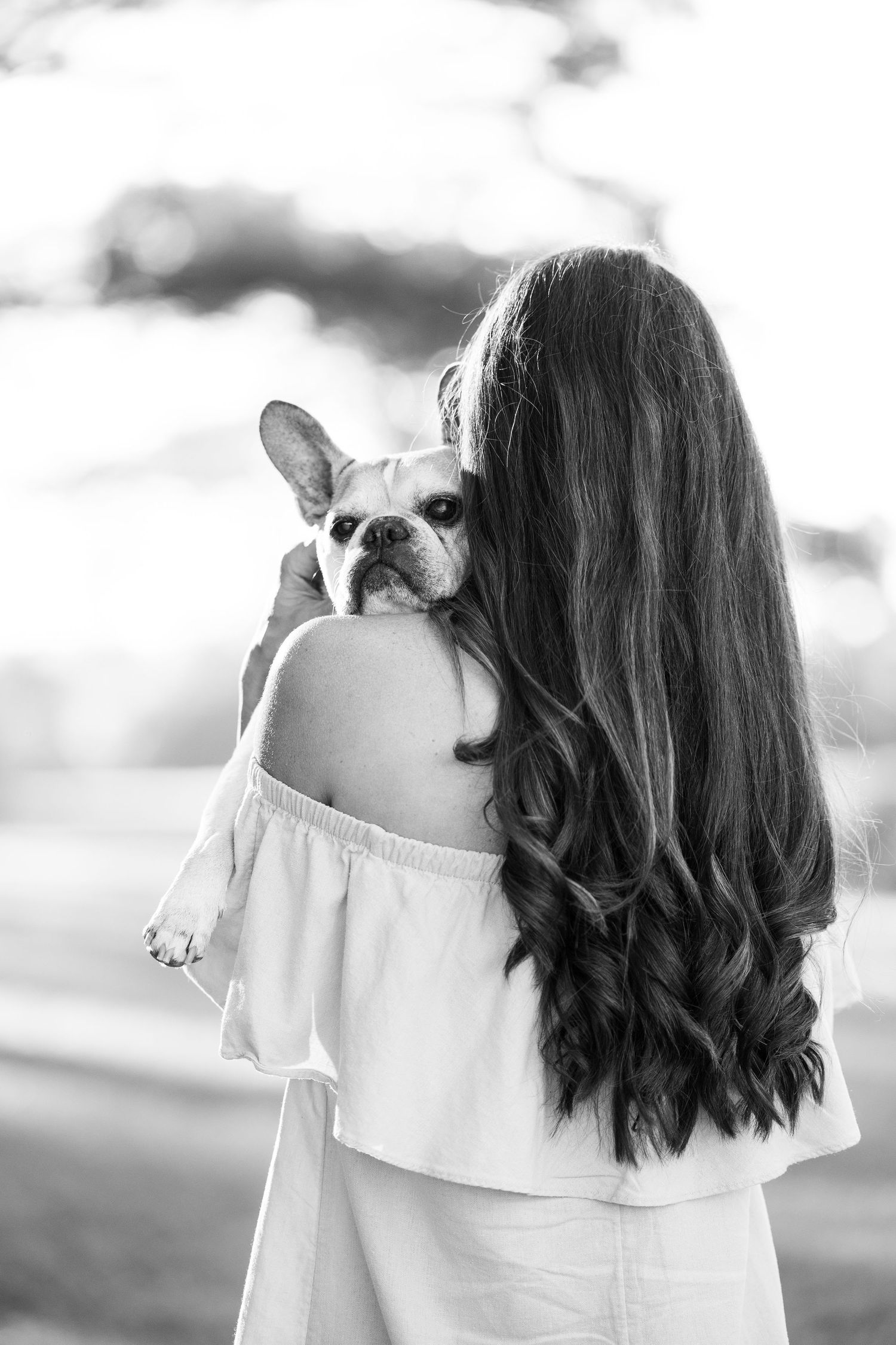 A series of black and white photos showing someone in a white top holding and cuddling with a small French Bulldog.
