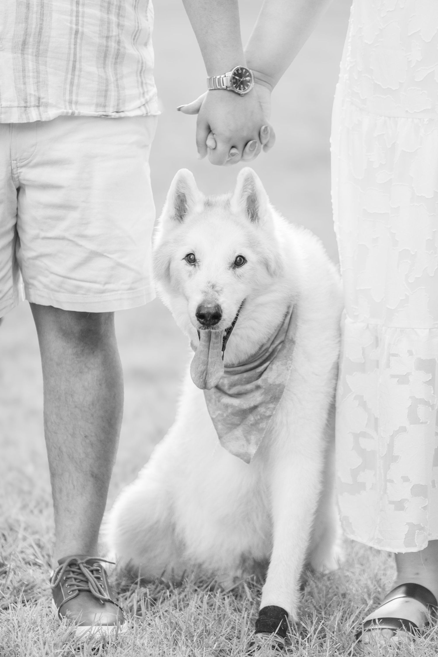 Black and white photo of a white dog, possibly a husky breed, standing next to its owners legs outdoors.
