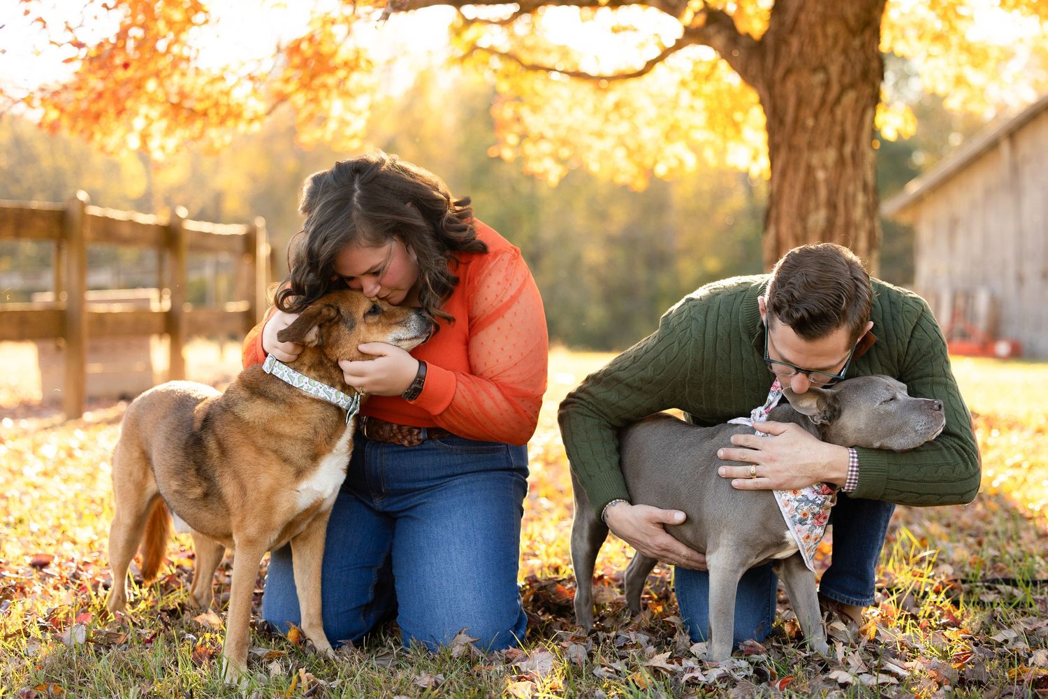 A couple and their dog share tender moments in a golden autumn setting during a photo session.