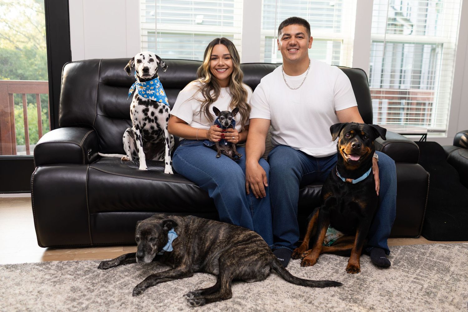 Smiling couple sitting on black leather sofa with four dogs including a Dalmatian and Rottweiler in a bright living room.