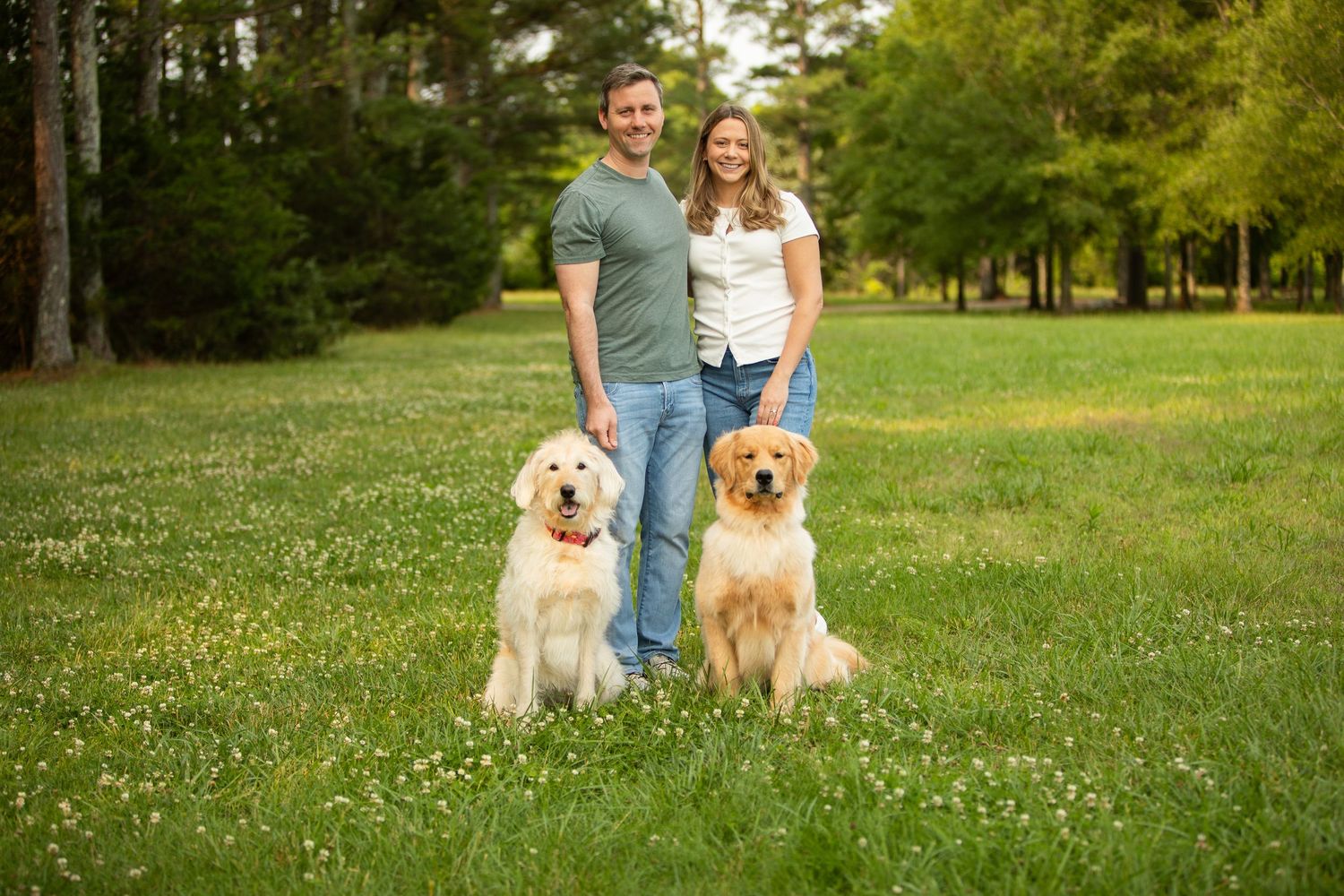 Two golden retriever dogs sit with their owners on grassy lawn with white wildflowers in a park setting.