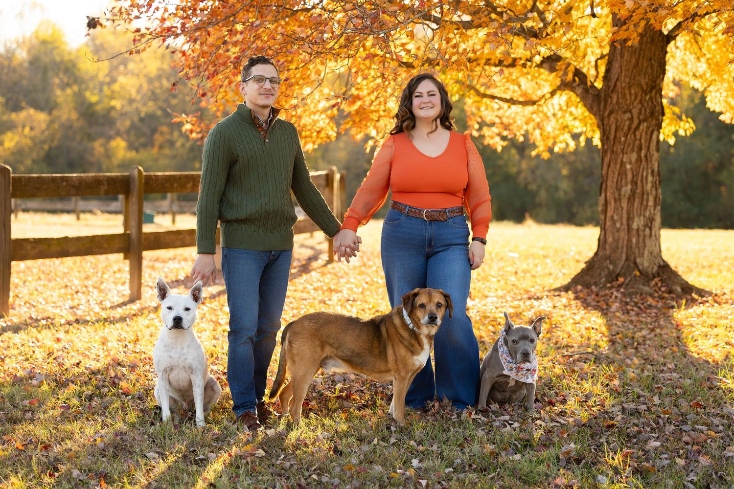 Couple walking three dogs together on autumn day with golden leaves falling from trees in park.
