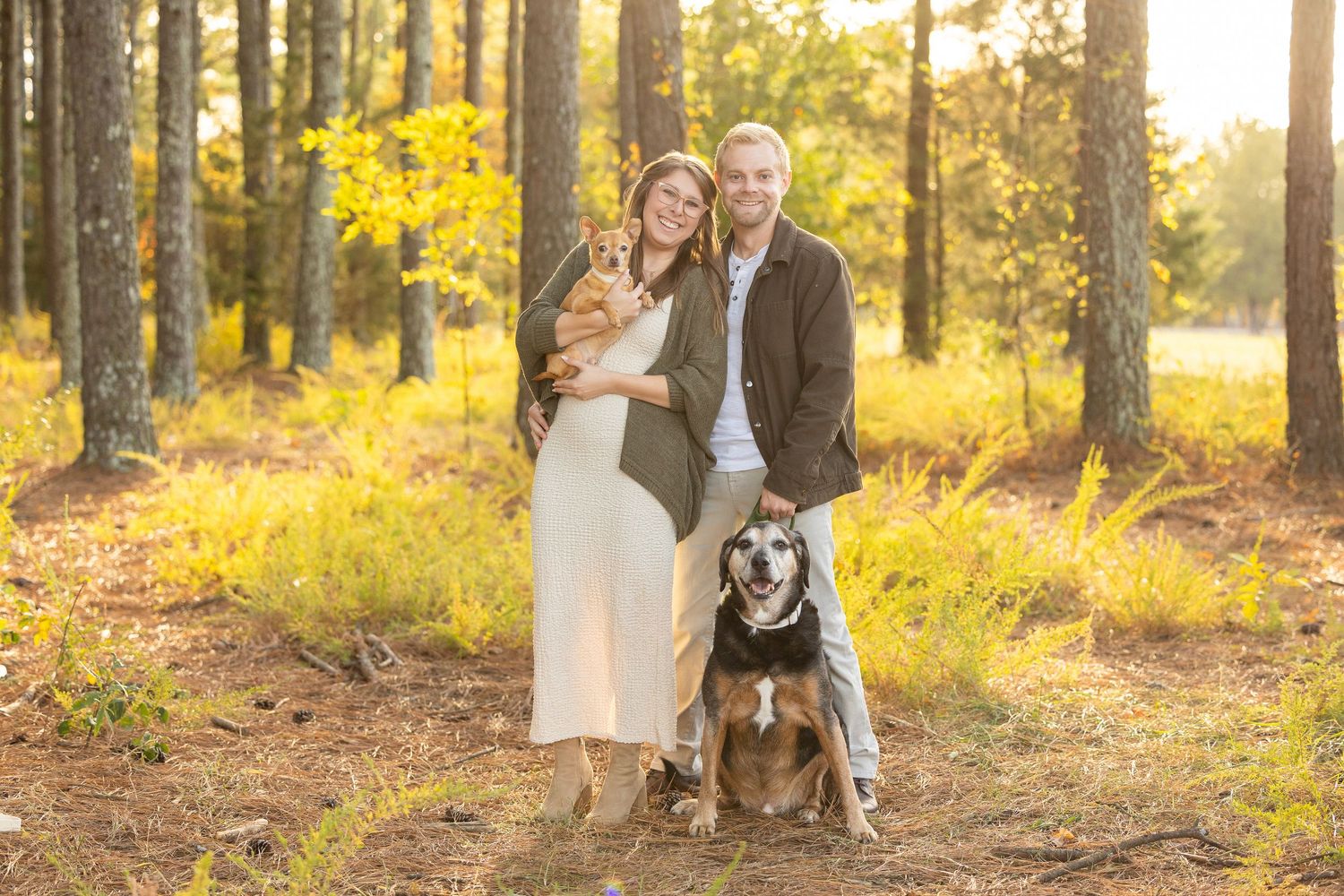 Couple posing with two dogs in a sunlit forest during golden hour, surrounded by autumn foliage.