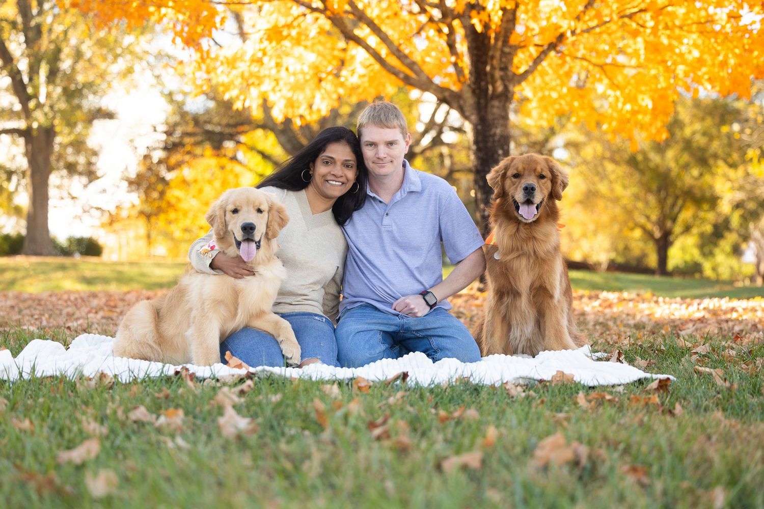 Golden retriever resting on white blanket under autumn trees with warm golden sunlight filtering through leaves.