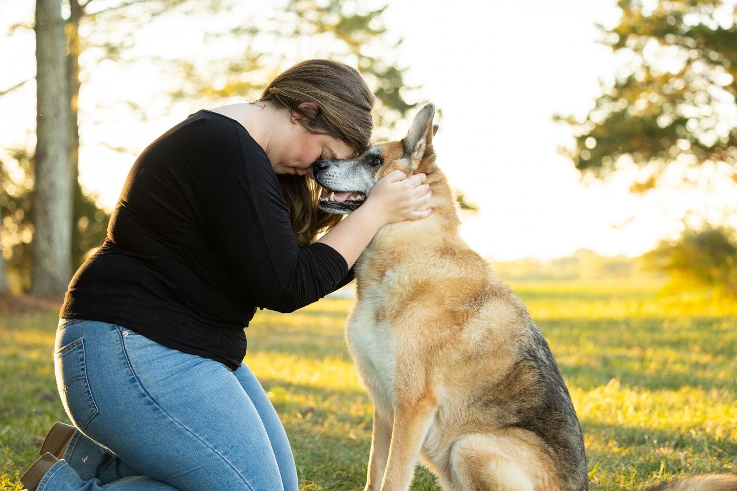 A person and their German Shepherd dog share affectionate moments in a sunny outdoor setting during golden hour.