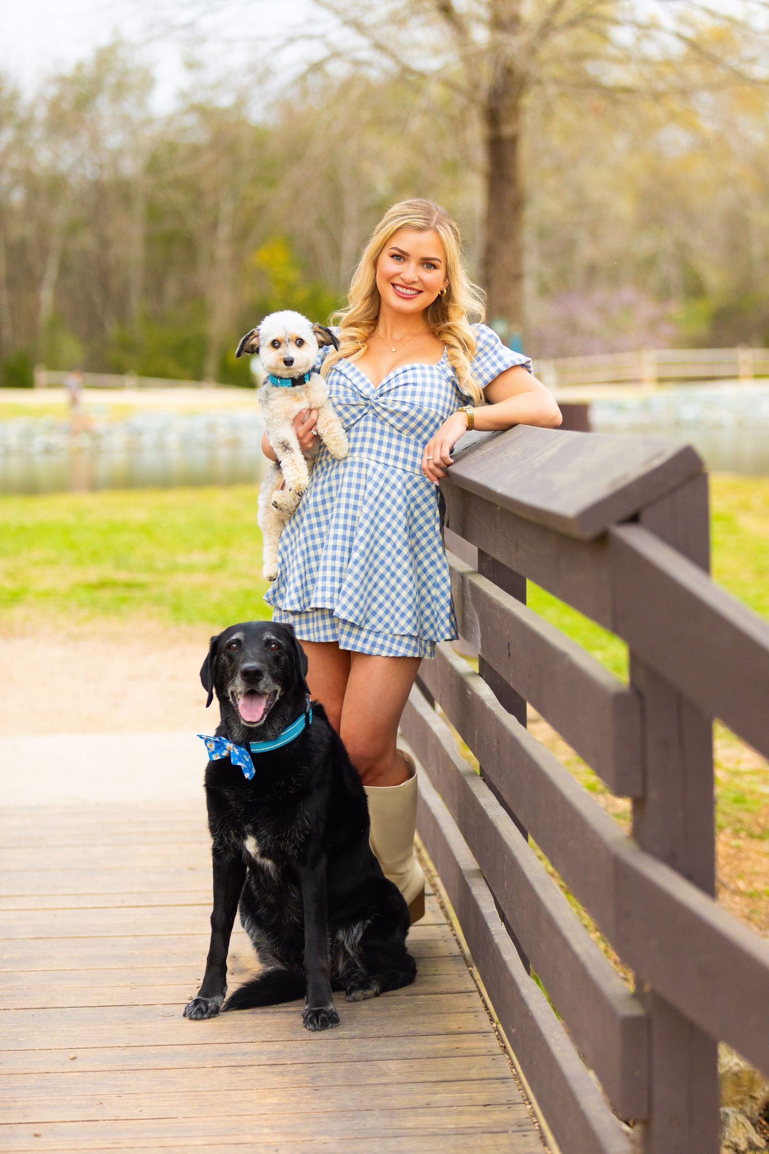 A person in a blue gingham dress poses on a wooden boardwalk with a black lab and small white dog on a sunny day.