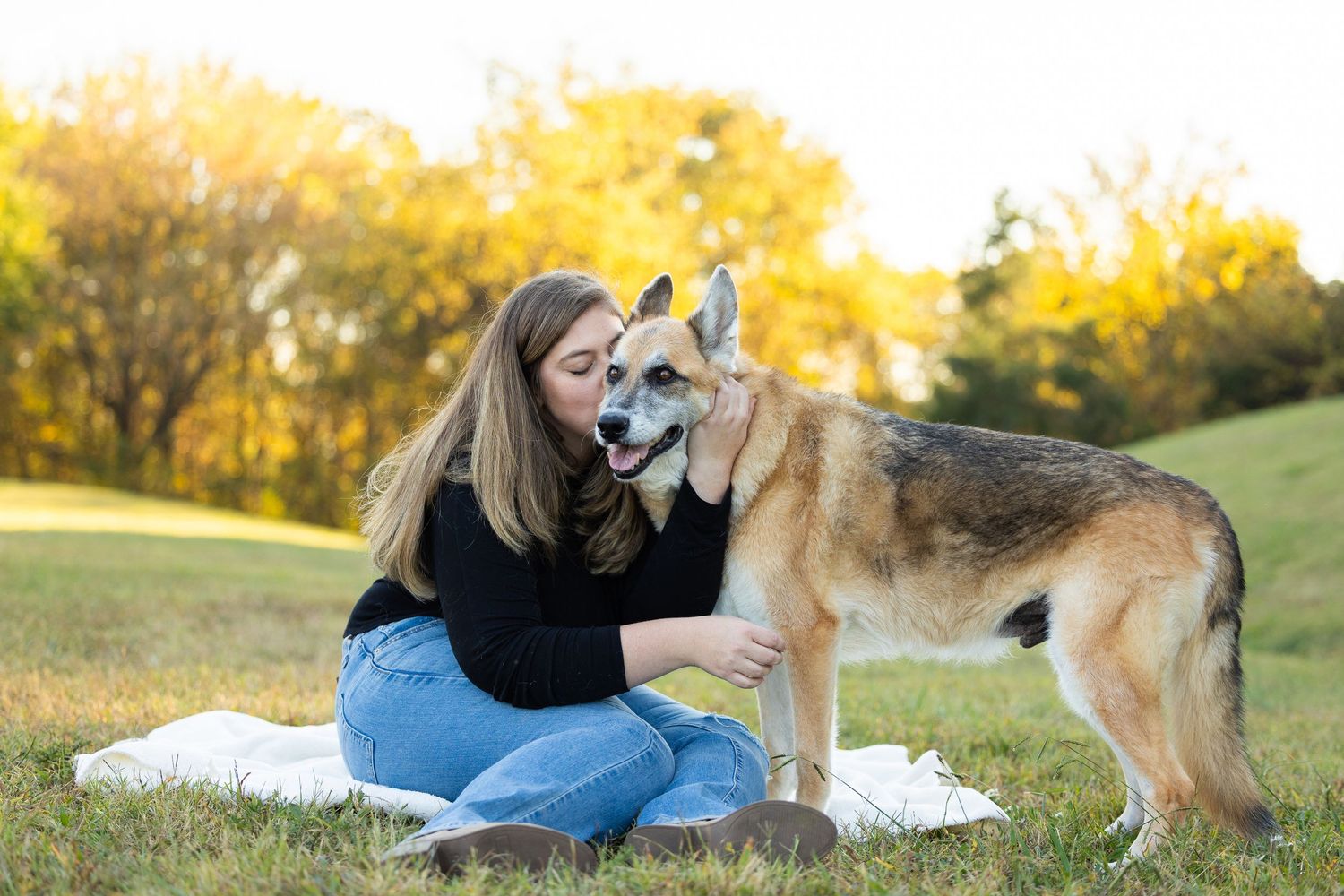 A German Shepherd mix dog sits with someone on a blanket in a grassy park during golden hour.