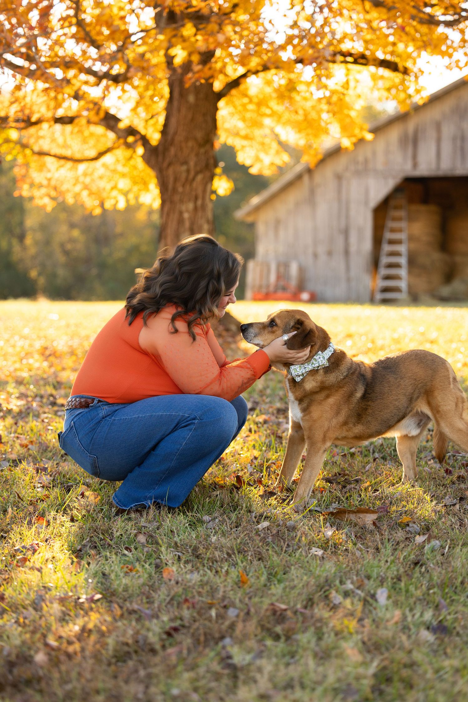 A person in an orange sweater crouches to pet a brown dog on an autumn day with golden leaves and a barn in background.