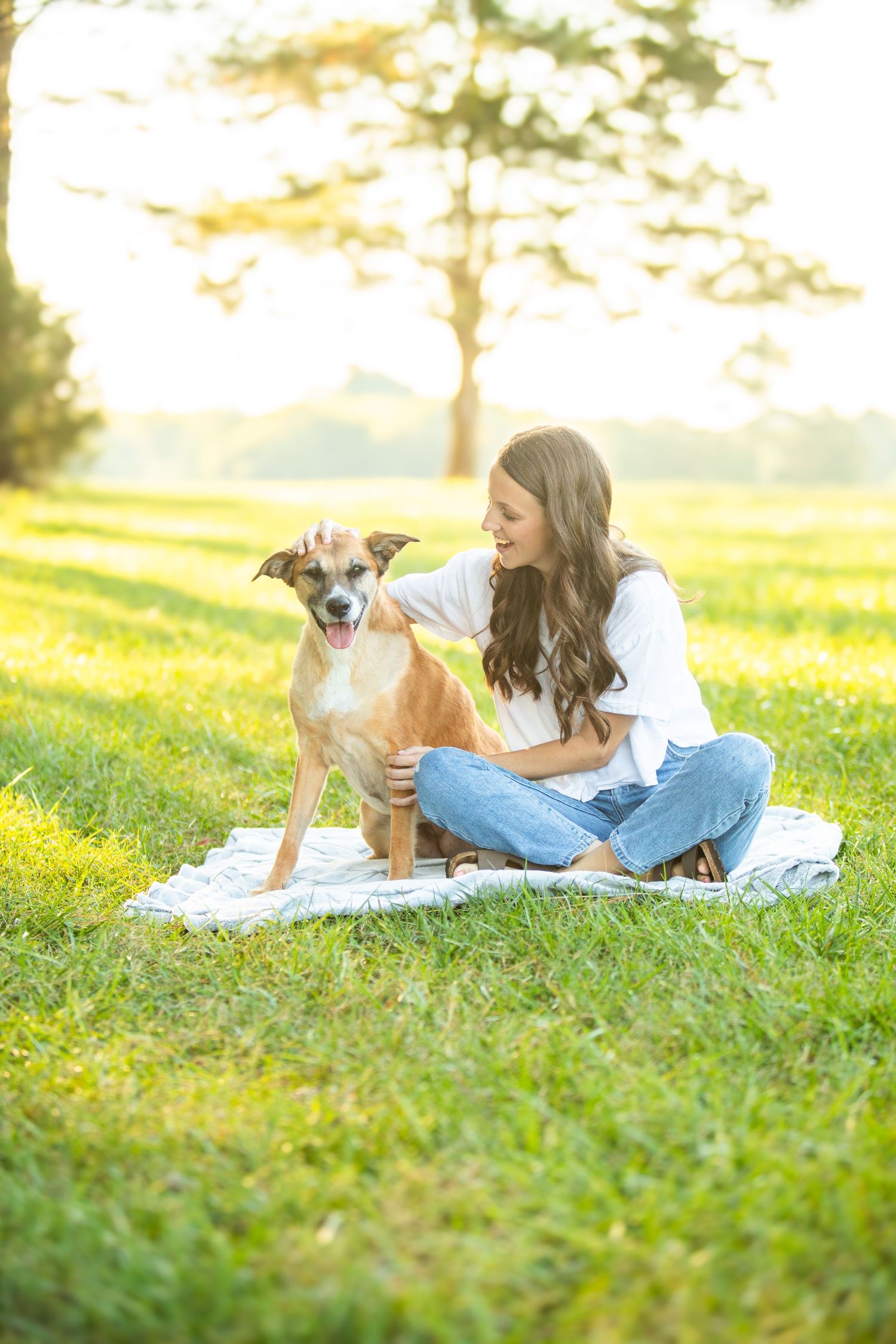 Person laying on a blanket in a sunny field with their dog during golden hour while taking stylized photos.