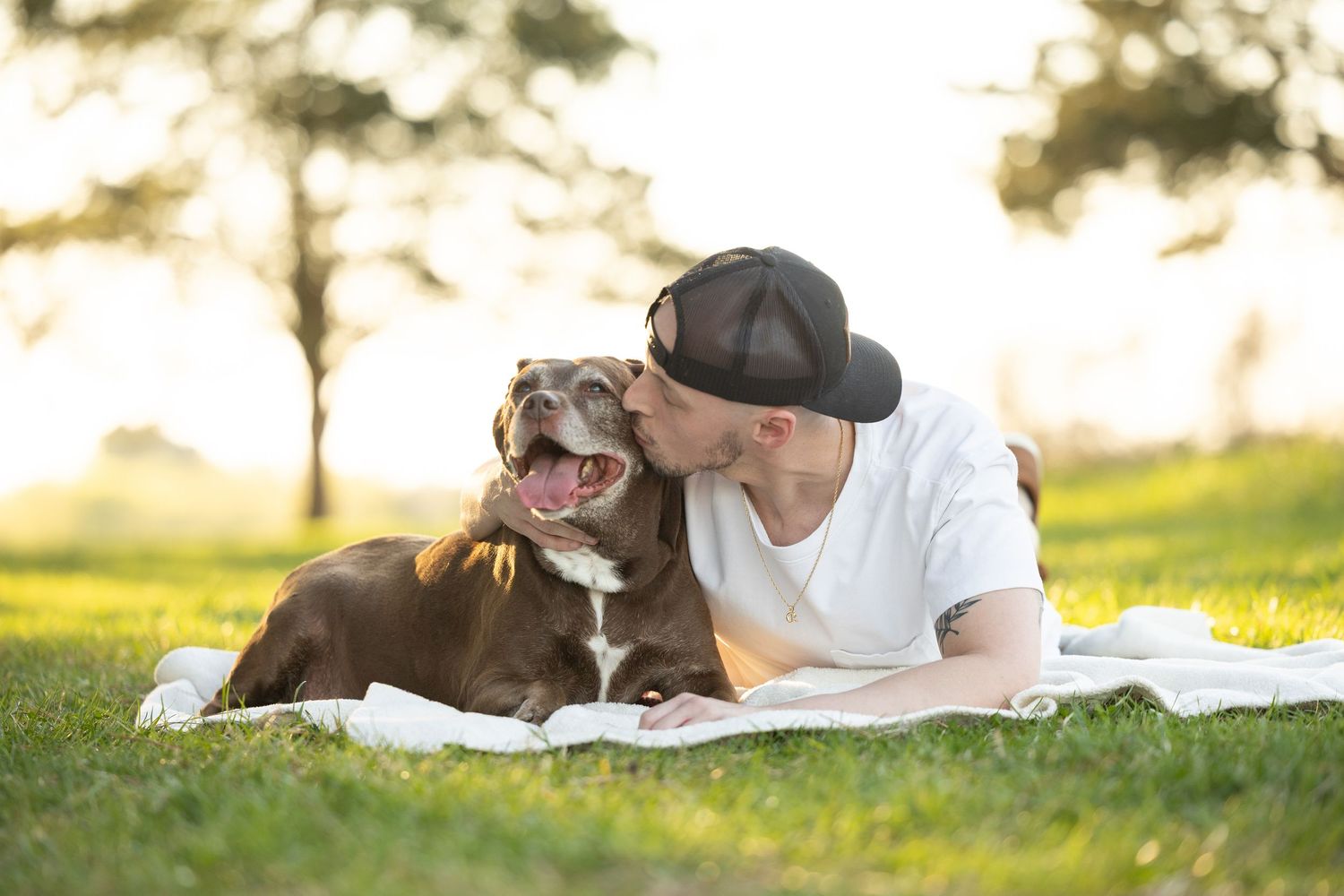 Man in white shirt and black cap kisses his happy brown and white dog while relaxing on grass in sunny park.