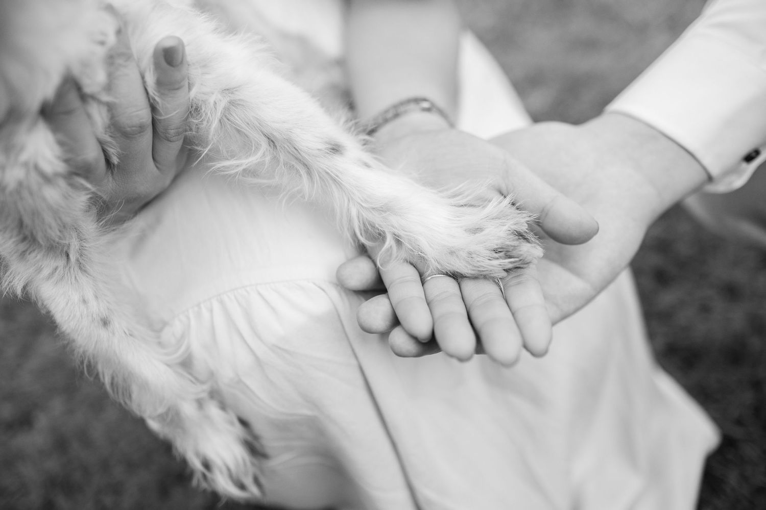 A gentle touch and soft caresses between two hands in black and white photography.