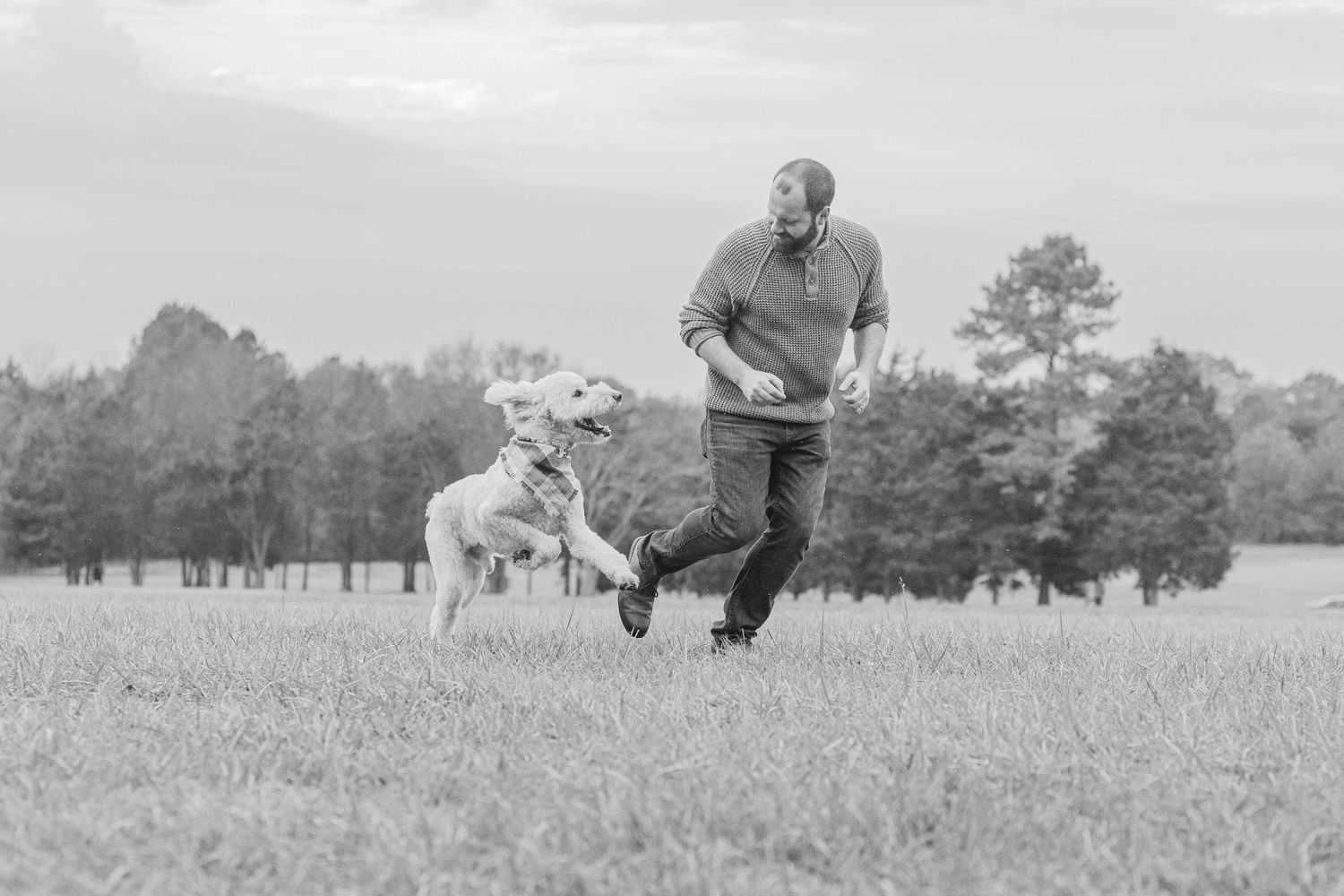 A black and white photo series shows people and dogs enjoying outdoor activities in a grassy field.