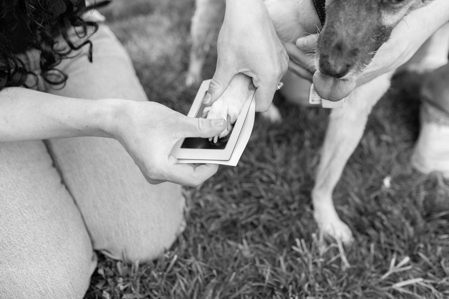 Person handing cash to another while a dog watches outdoors on grass in black and white photo.