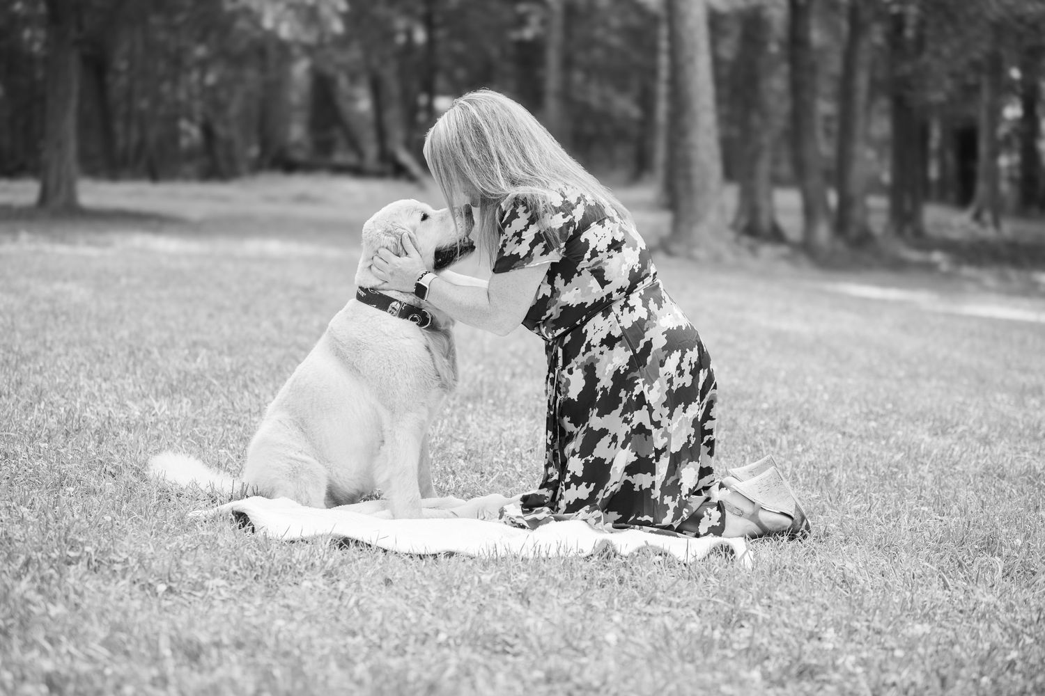 A white Labrador and spotted Dalmatian sit side by side on blanket in black and white photo outdoors.