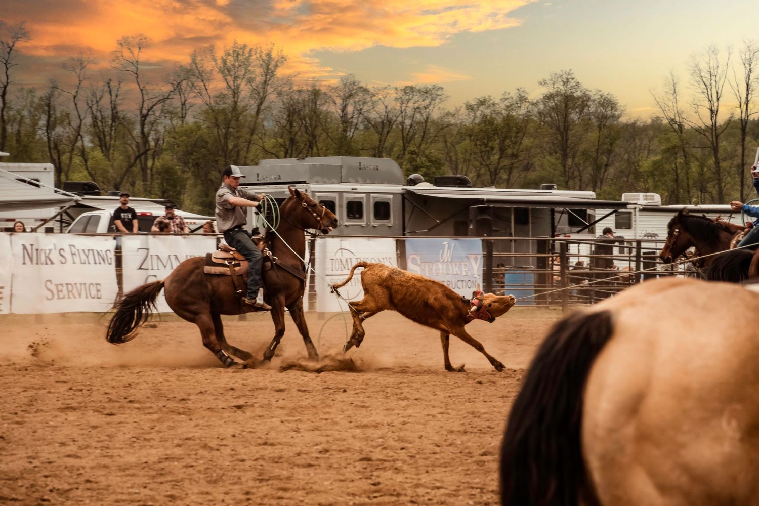 A rodeo cowboy on horseback chases after a calf during a roping competition at sunset in a dusty arena.
