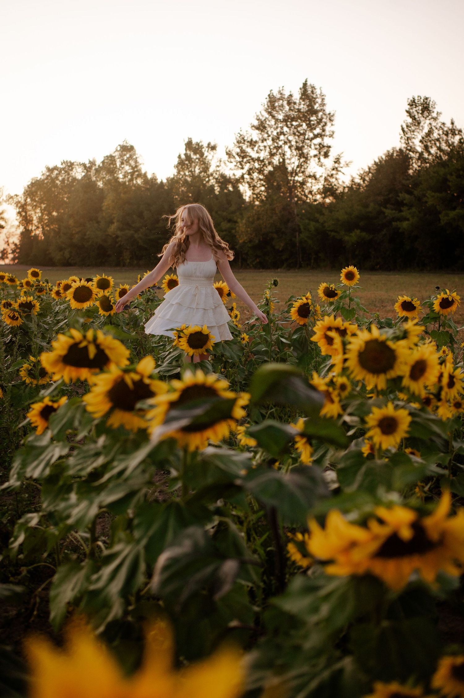 A dreamy sunset photoshoot in a vibrant sunflower field with golden light filtering through the flowers.