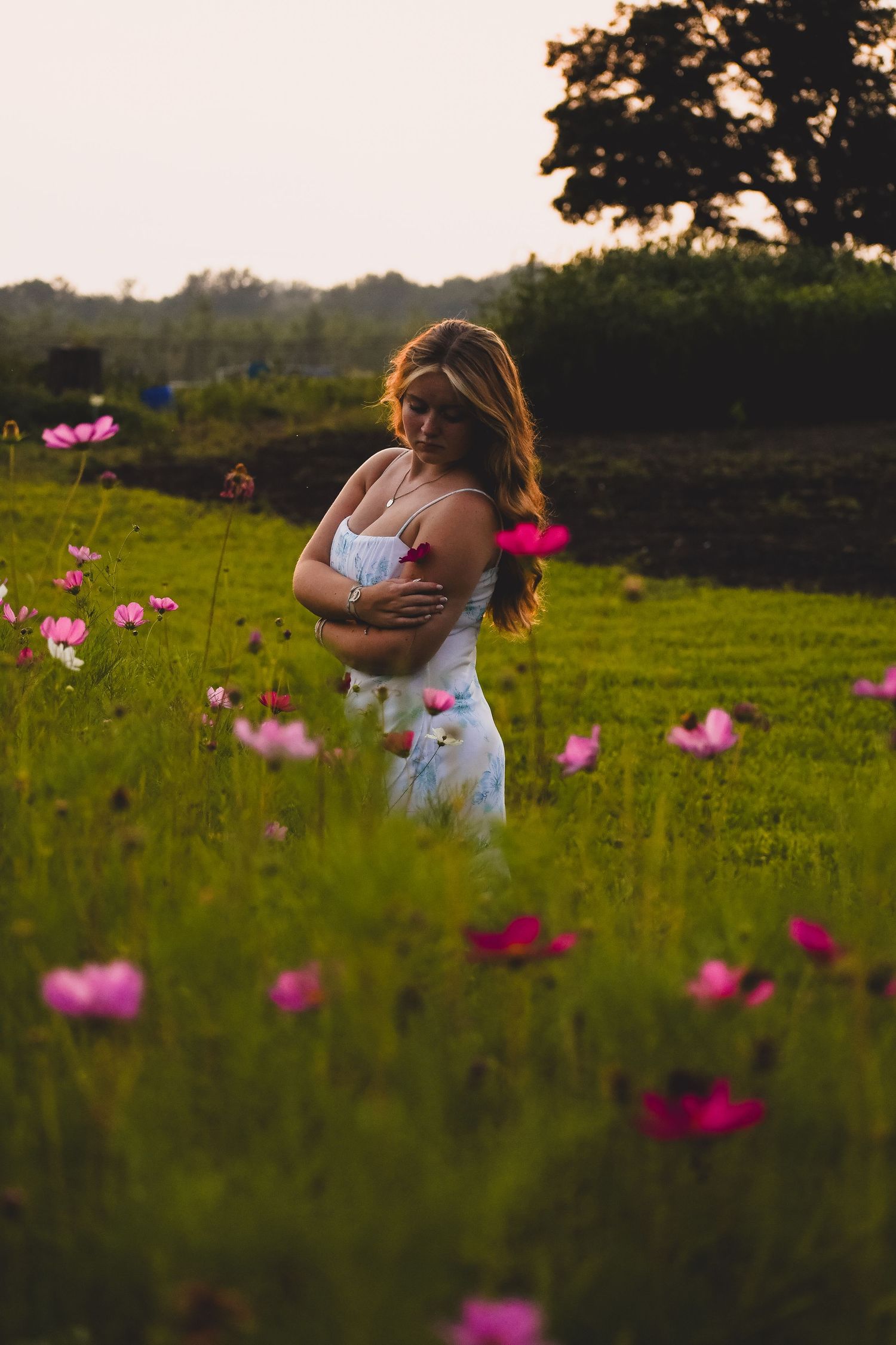 Dreamy sunset portrait in field of pink cosmos flowers.