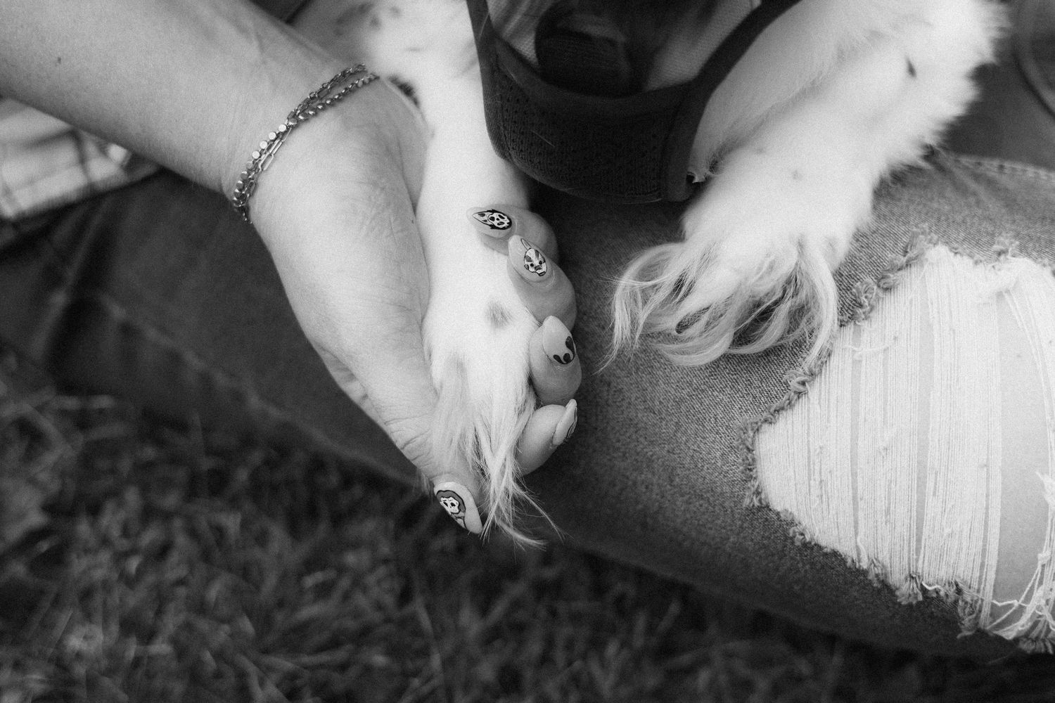 Close-up shots of pet paws resting on various surfaces in black and white.
