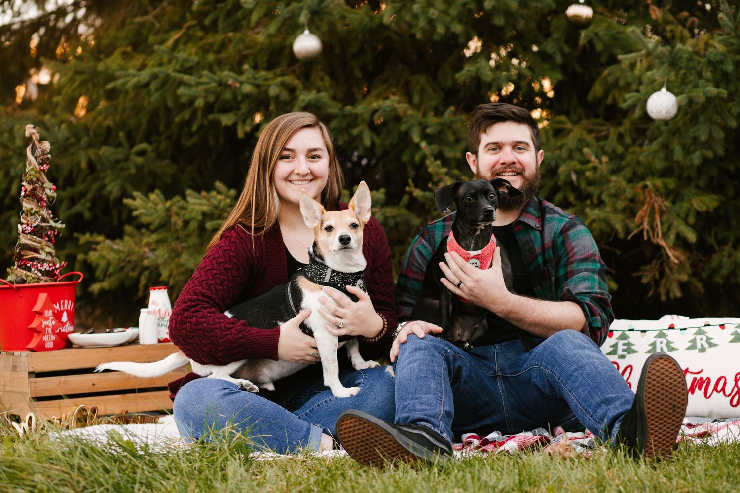 A couple sitting outdoors with their two dogs during a holiday-themed photoshoot.
