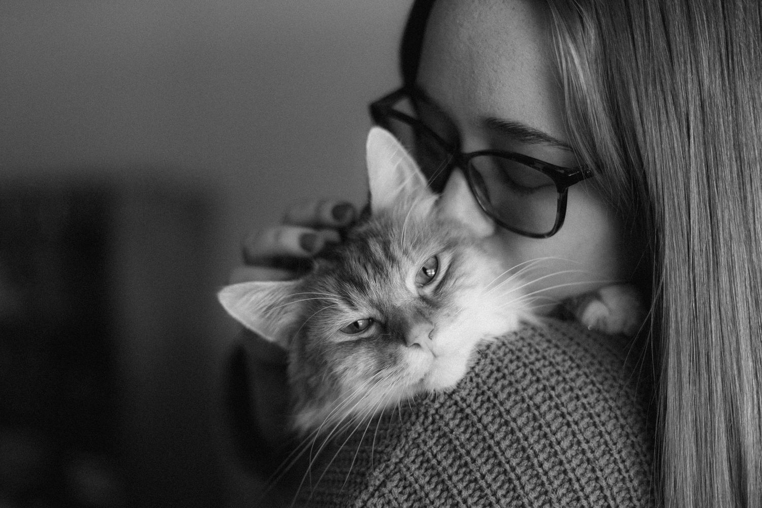 Black and white portraits capturing intimate moments between a person and their cat.