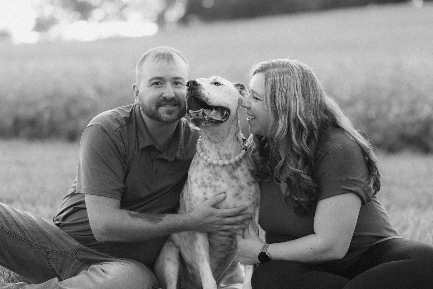 Happy spotted dog receiving affection from owners while sitting in a grassy field.