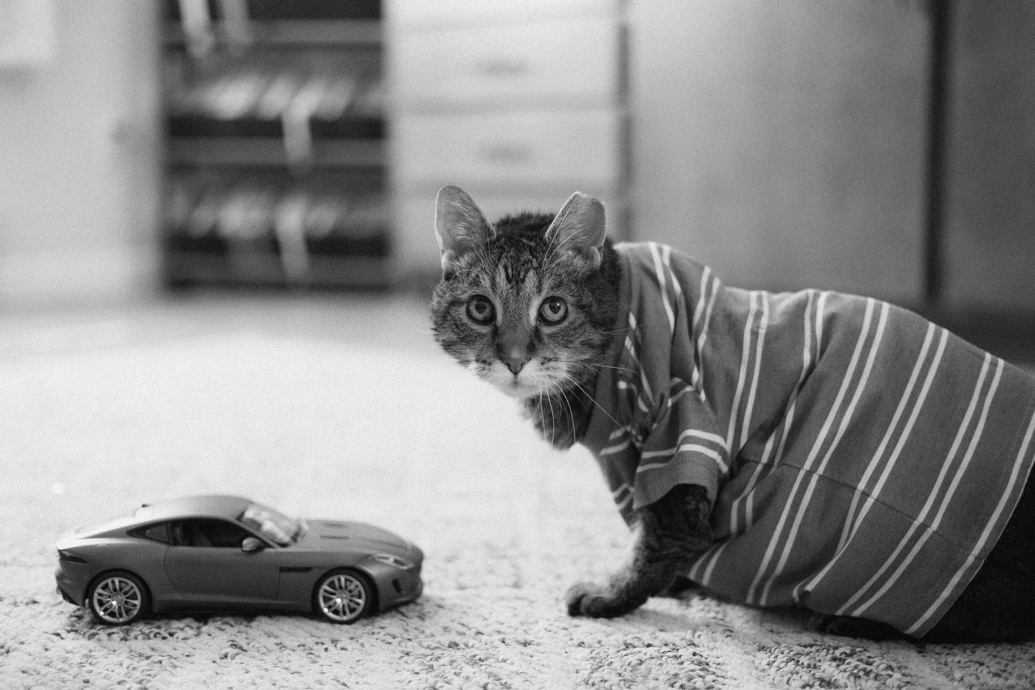 A playful cat lounges indoors in various poses next to a toy car in black and white.