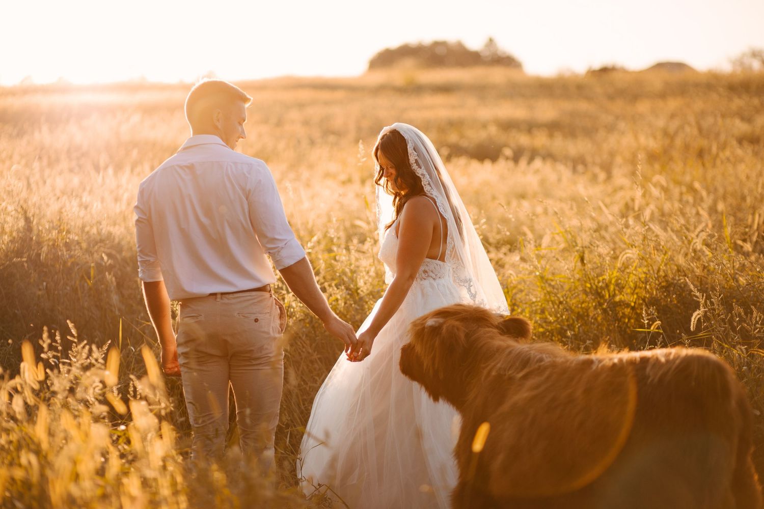 Silhouetted couple walking hand in hand through a sun-drenched field at golden hour.